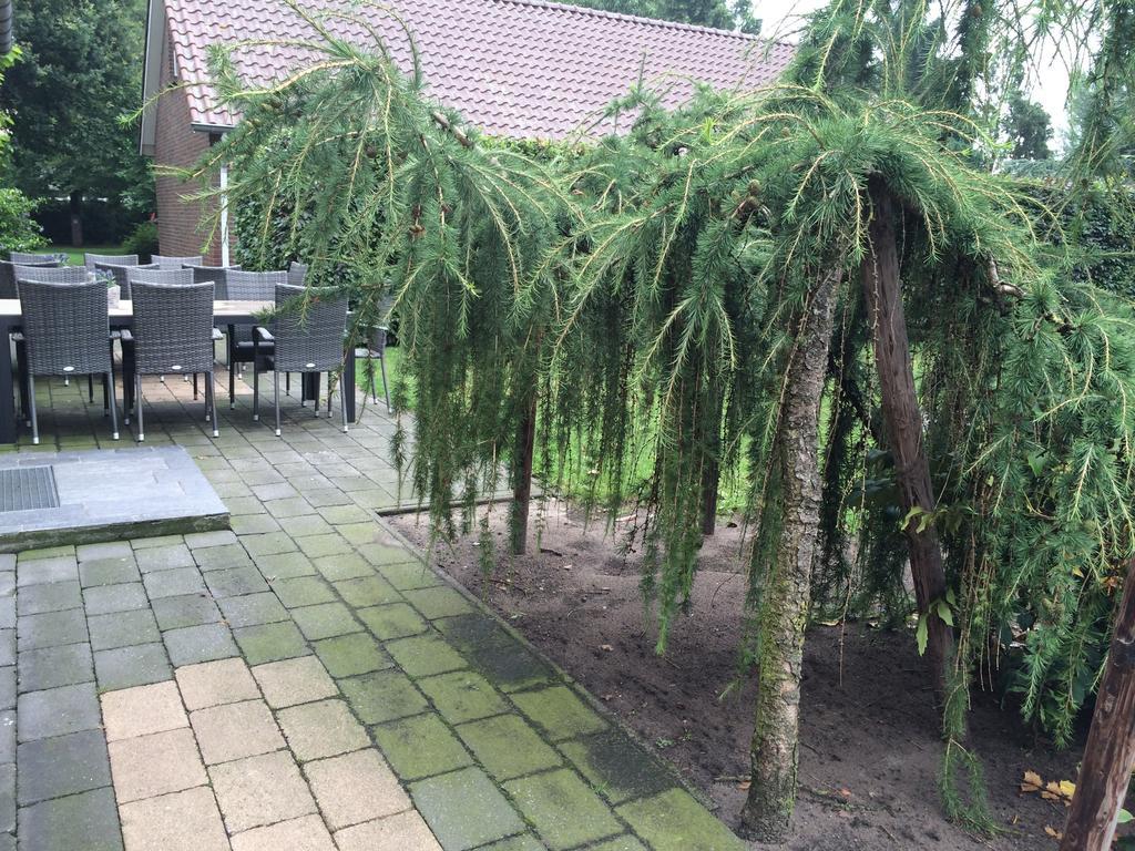 Vakantieboerderij De Pionier Bed & Breakfast Ysselsteyn Bagian luar foto